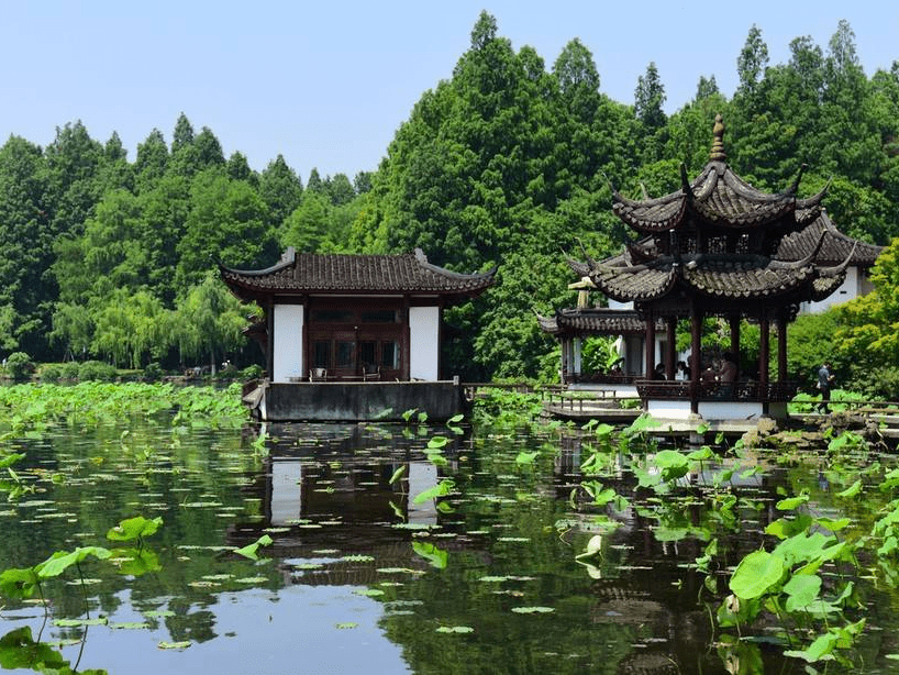 浙江杭州:曲院风荷满目青翠 尽显初夏风情