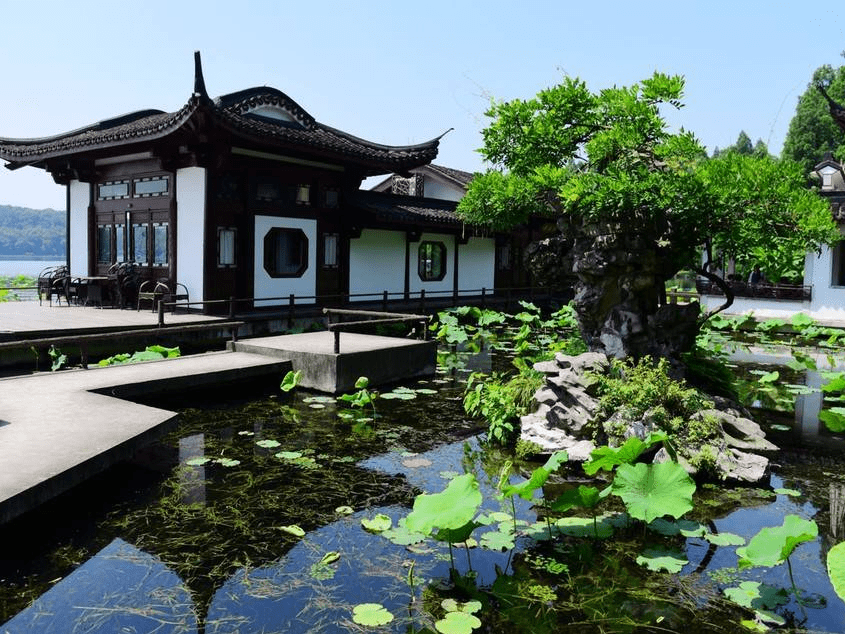 1/ 5 杭州曲院风荷景区,满目青翠景色迷人,尽显初夏风情.