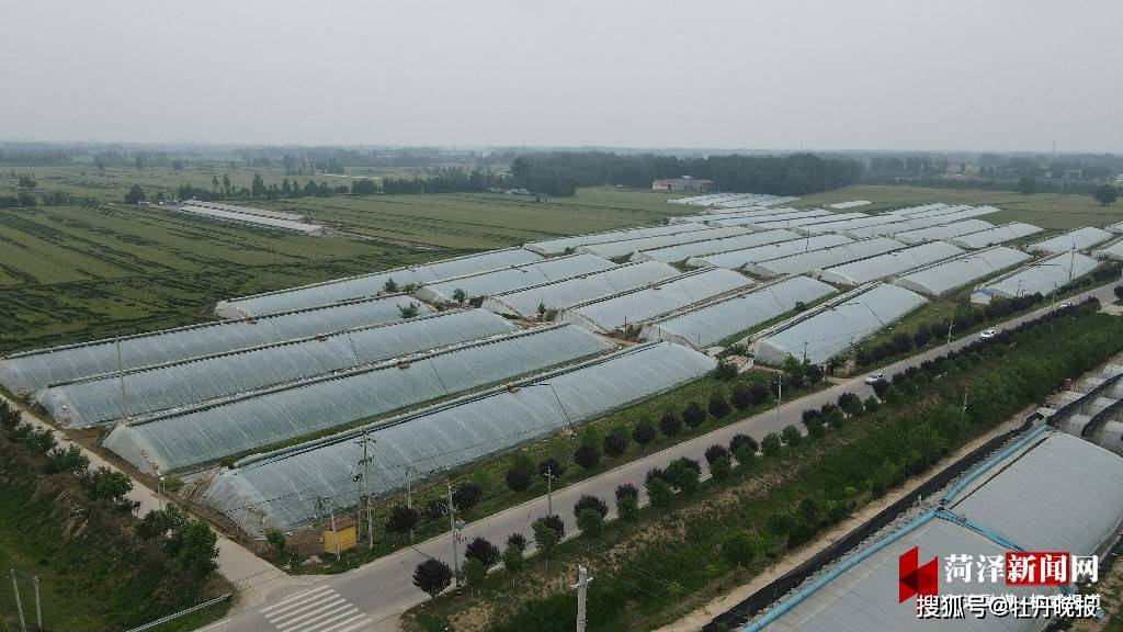 学习寿光大棚经验,小村蹚出蔬菜种植道路