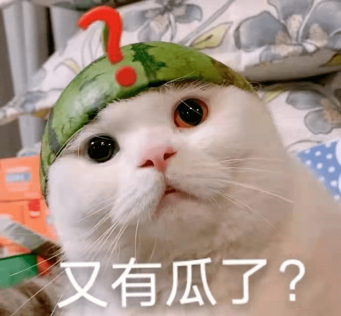 猫咪突然张大嘴巴呼吸是卖萌?不,是向你求救!