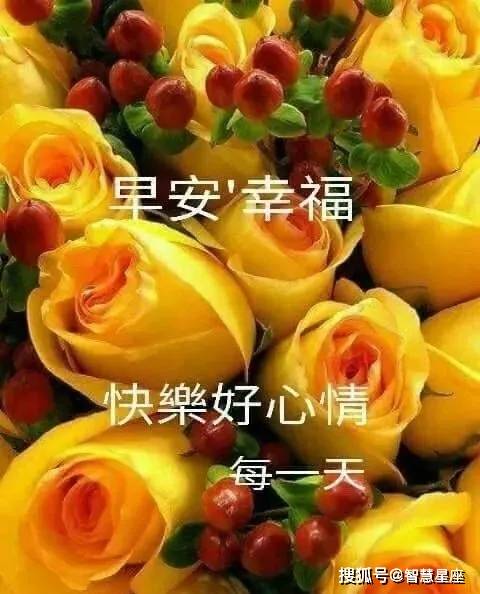 6月8日清晨早上好问候大家的祝福经典语句,最美的早上