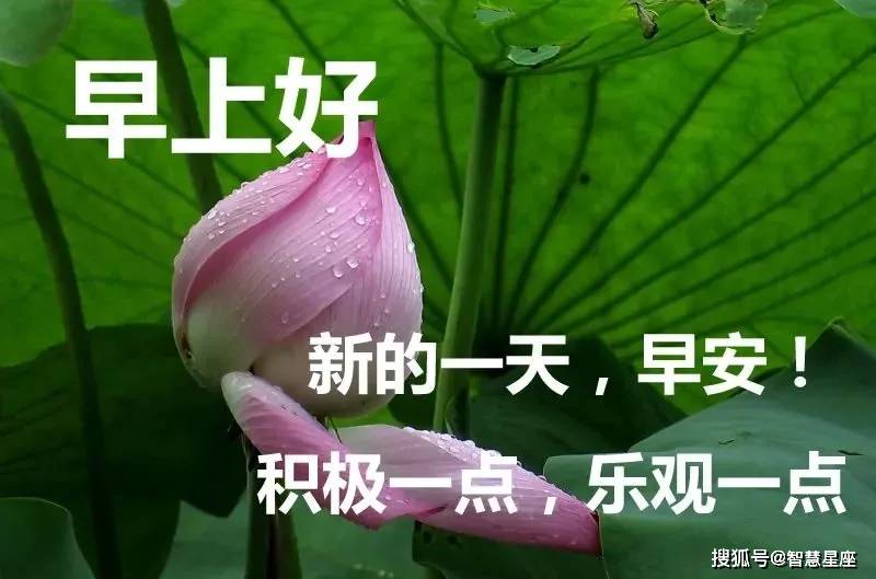 原创6月8日最完美的早上好温馨表情祝福语,很美的早安图片问候语
