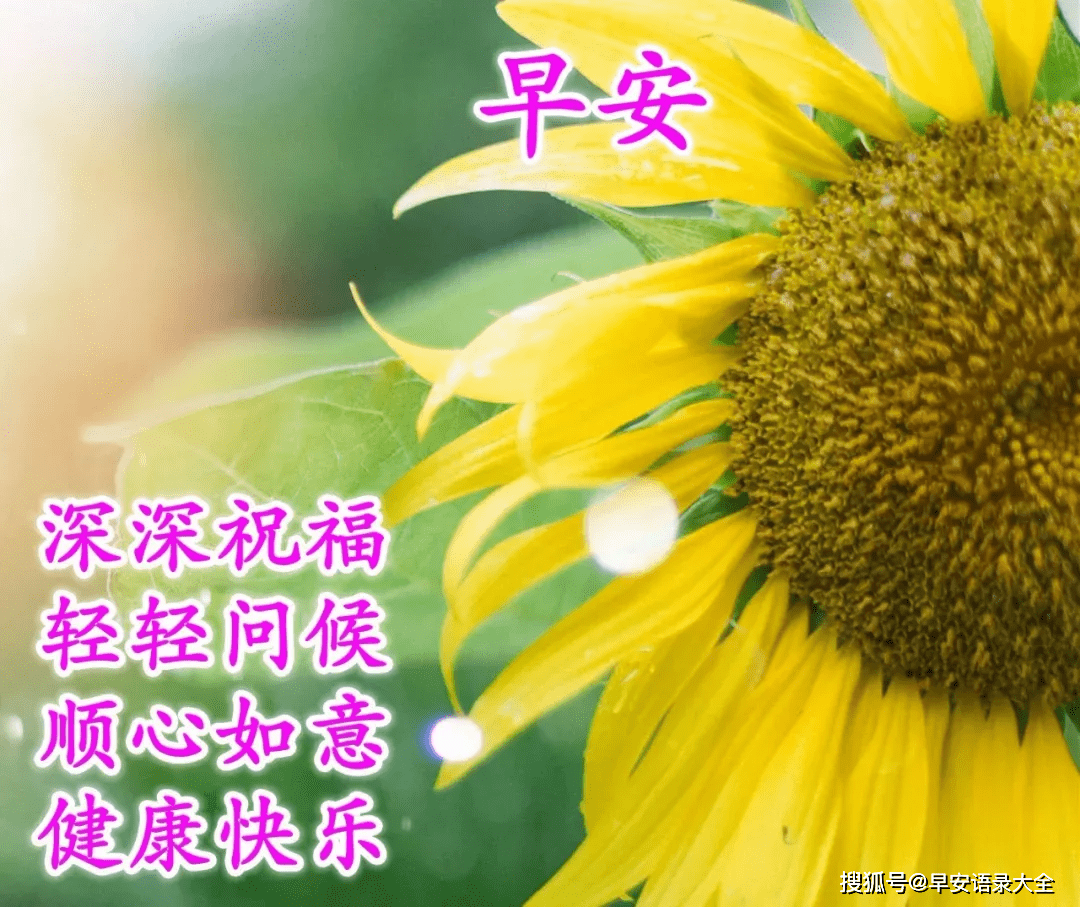 2021年6月9日星期三早上好问候祝福温馨图片 周三最新