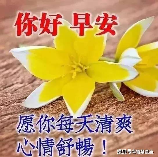 2021年早晨好祝福表情图片大全,早晨好问候语微信表情
