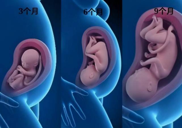 原创怀孕7-9个月胎儿进入猛涨期,7大注意孕妈牢记,别给娃生长拖后腿