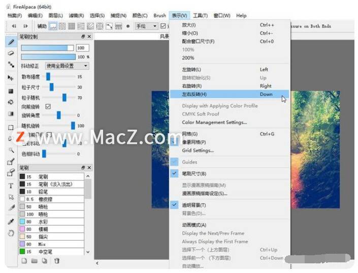 如何使用firealpaca工具将图片左右对称镜像方式翻转?