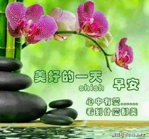 微信早晨好祝福语简单句子,带图带问候,祝你好心情