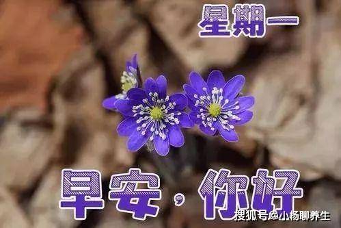 原创早上好祝福暖心话送给亲爱的朋友祝福家人周一愉快