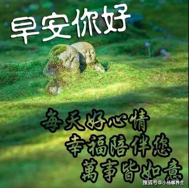 早上好图片问候祝福语句子,句句阳光,温暖人心