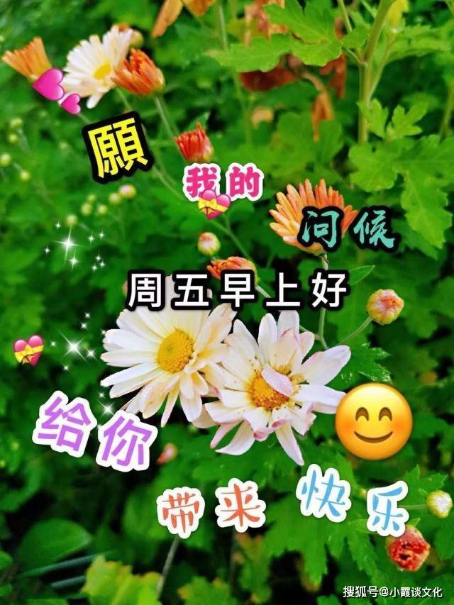 原创周五早上好送你暖心的祝福美图带字带问候