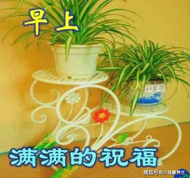 早晨好图片问候句子,简短温馨,让你好心情