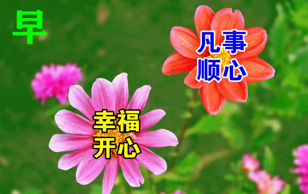 原创2021年6月19日星期六漂亮早上好问候动态表情图片带字