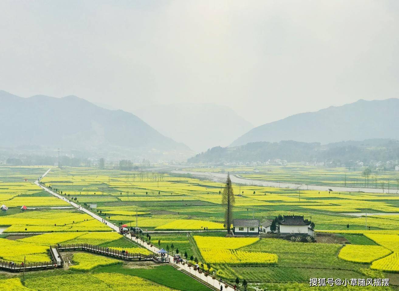 说走就走的油菜花之旅, 饱览汉中勉县唐家坝油菜花海