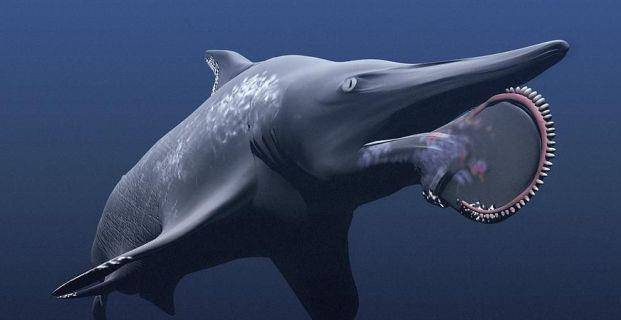 原创行走的肩章鲨,野心不只是海洋,展示了鲨鱼家族恐怖的进化能力