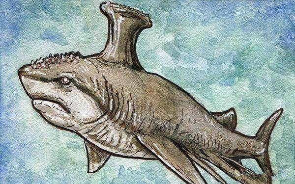 10,胸脊鲨:胸脊鲨,又名胸棘鲨或齿背鲨,是鲨鱼的祖先,生存于约3亿