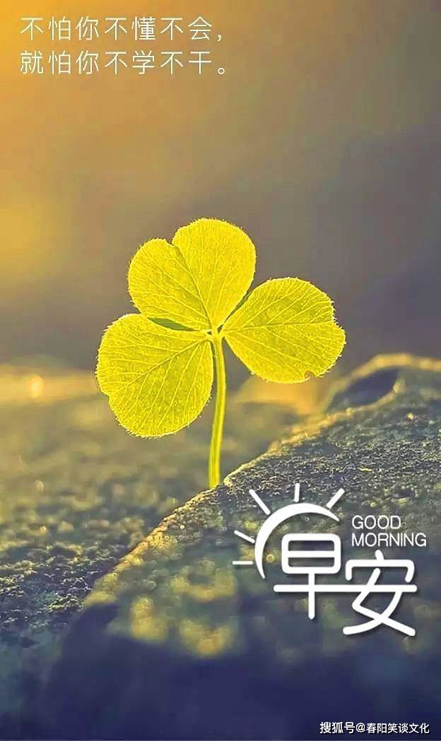 最新朋友圈早安问候语 早安祝福语大全