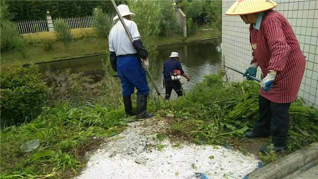 海安市胡集街道谭港村:清理河道垃圾 提升水美乡村的美誉度