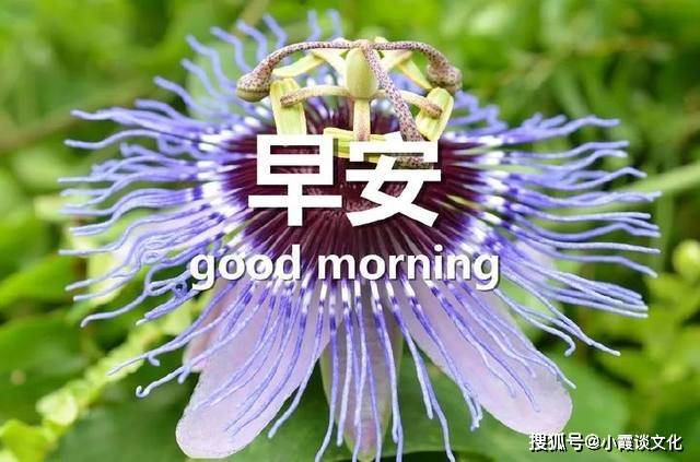 朋友圈唯美早安心语简短句子 早安唯美带字配图
