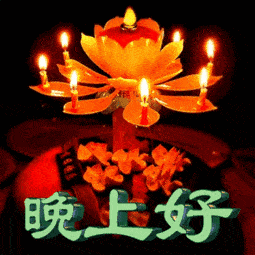 原创最新漂亮晚上好动态表情包晚安温馨简短语录