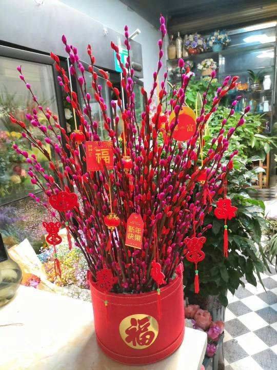 8种"中国红"年宵花,养在家里添喜气,红红火火好运来