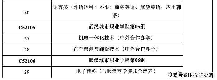 2021年湖北省考生报考武汉城市职业学院专业组代码及专业代号对应表