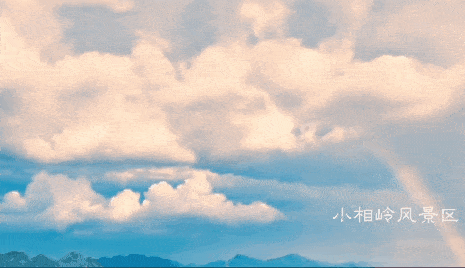 清晨的云,晶莹剔透,沉静而舒缓,淡淡的,如静谧薄纱,在山间飘动着