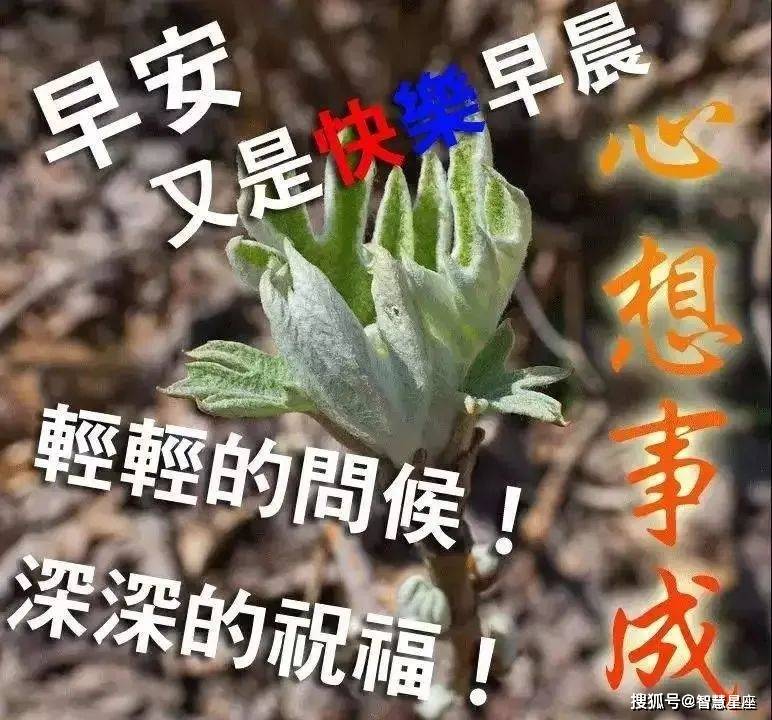原创6月28日夏季最美早安问候语动态图片最新漂亮早上好表情动态图