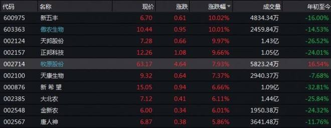 牧原股份暴涨8%!反弹还是反转?更可怕的还在