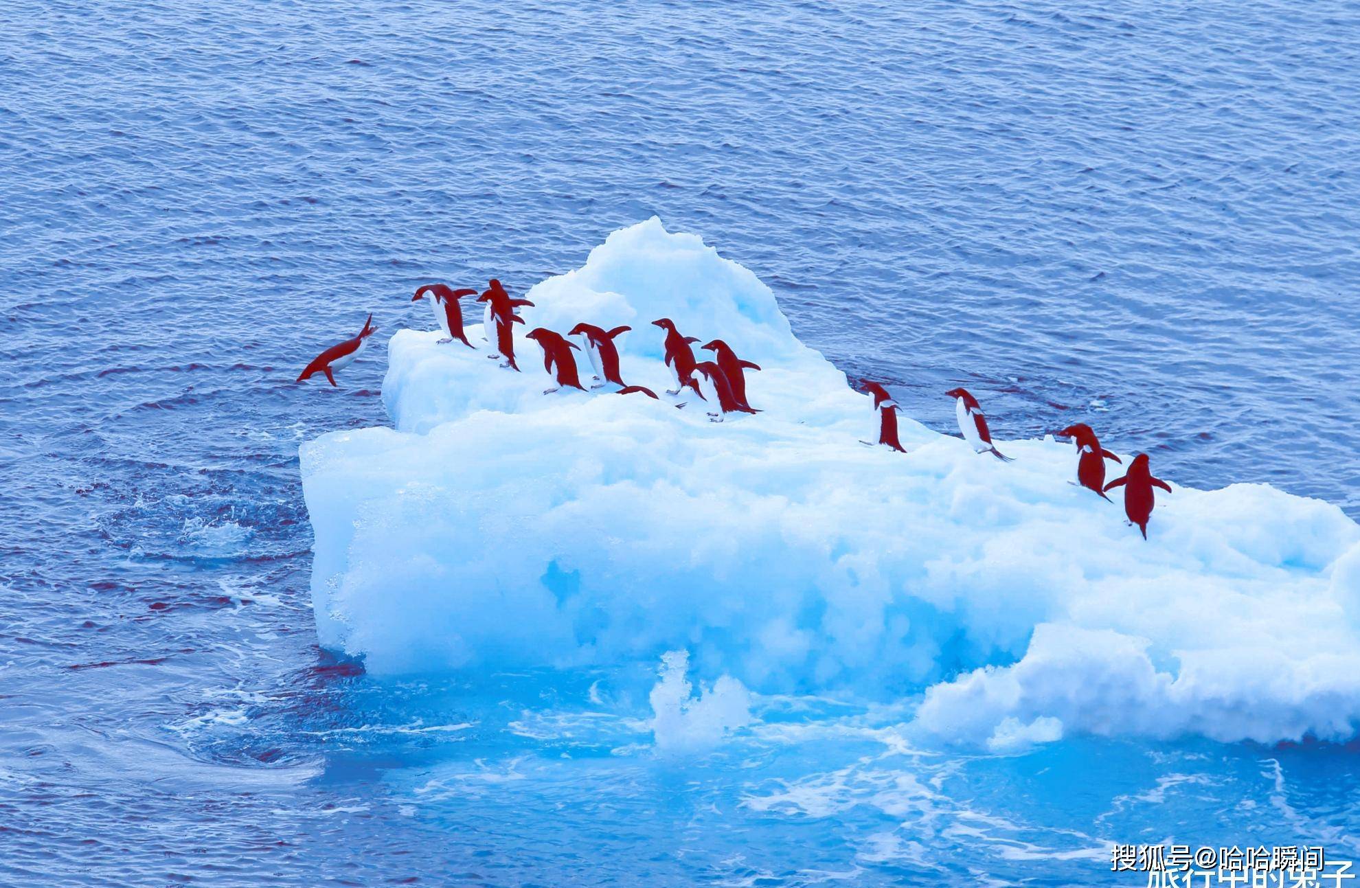 原创南极超级冰山a68即将挣脱面积相当于上海或带来企鹅灭绝