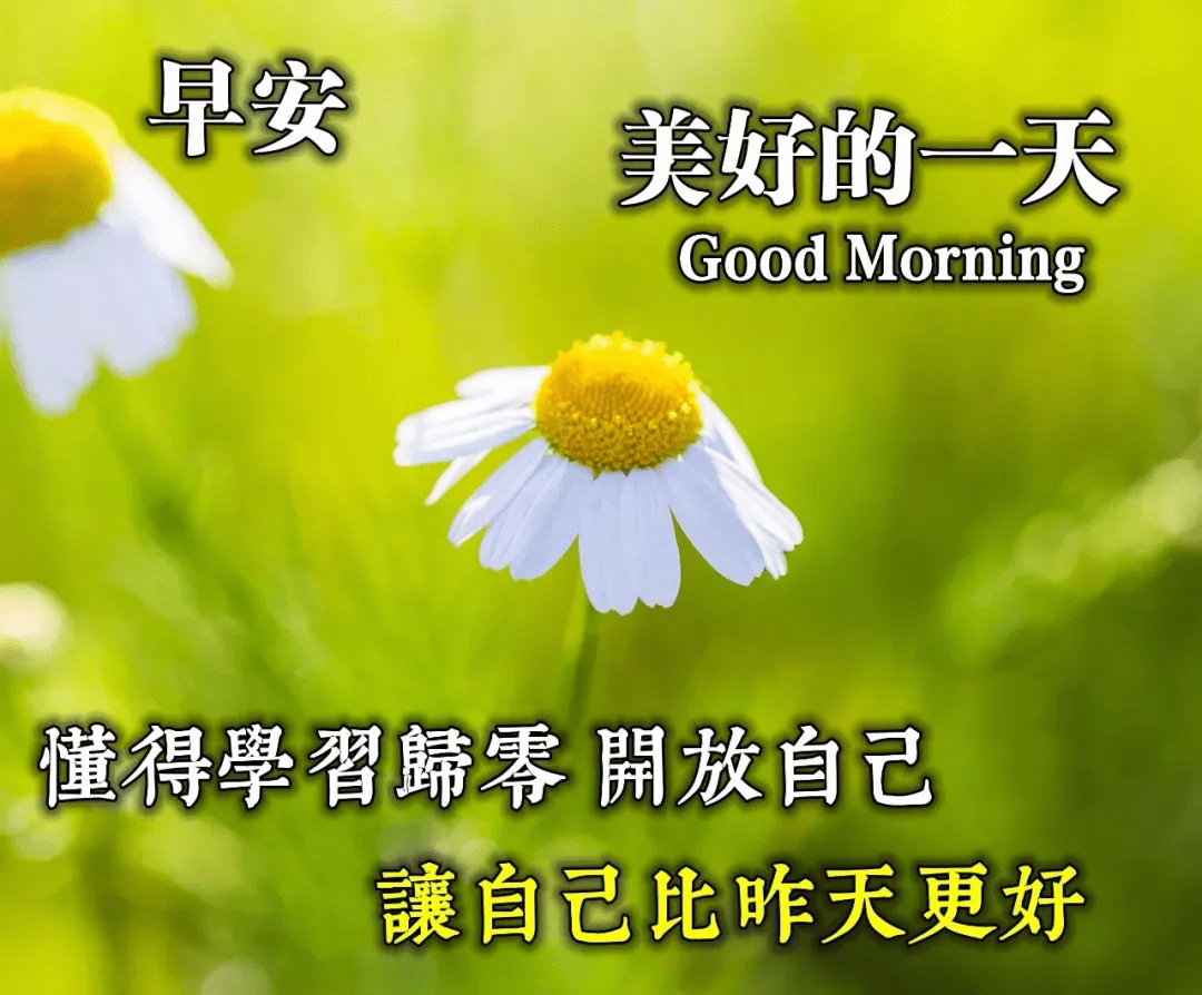 适合发朋友圈的漂亮早安壁纸图片,早上好阳光祝福短信