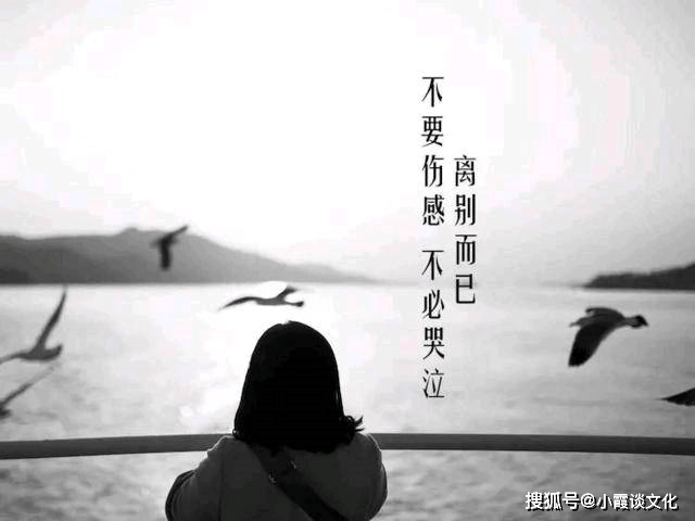 心痛到滴血的句子,发自肺腑,令人心伤