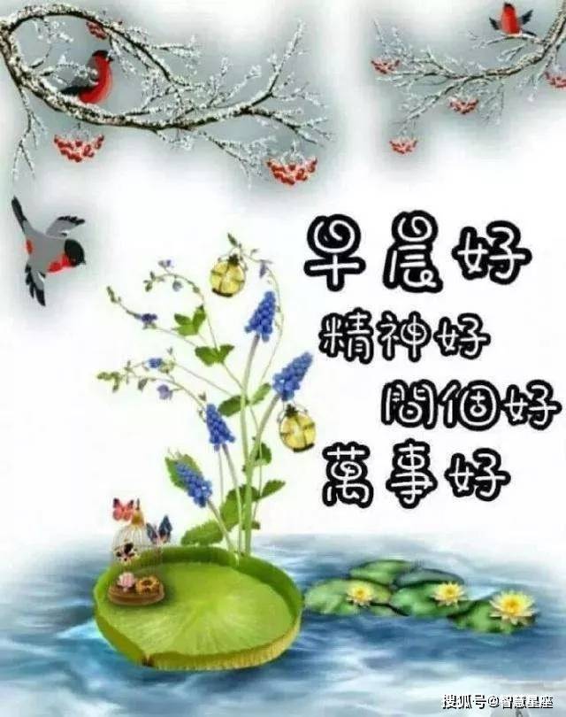 7月6日问候大家早上好动图表情美女2021,清晨祝福早上