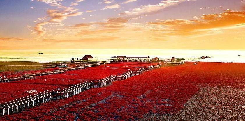 辽宁省最受欢迎旅游景点02:盘锦红海滩国家风景廊道