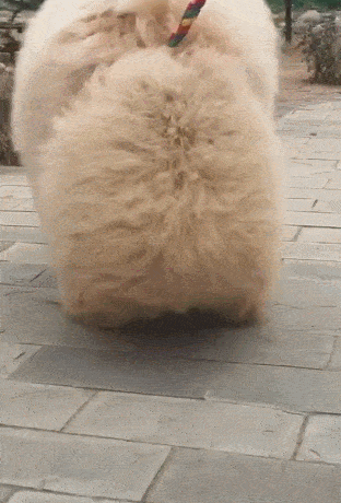 312_460 竖版 竖屏