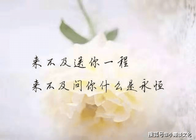 心情不好的说说短语,痛入心扉,哪你一句说中你的心事