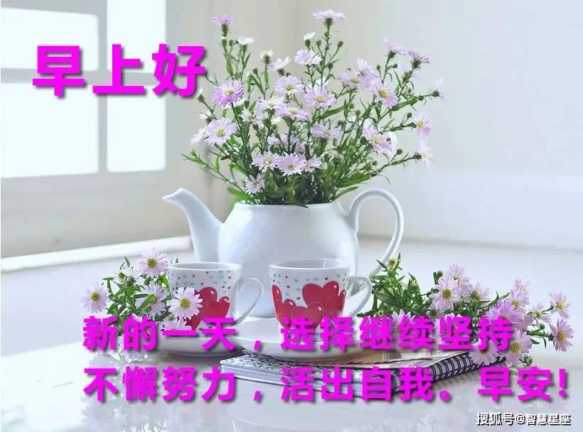早安,早上好文案:和清晨的阳光一起,把快乐带到你的心底!