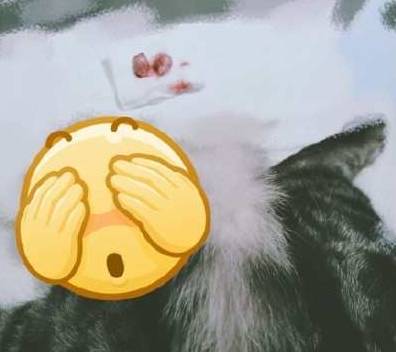 淡淡忧伤的背影 事发现场,珍贵历史留念,有点污