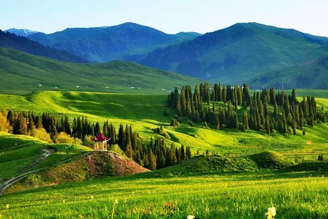 「唐布拉草原」中国最美草原
