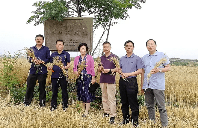 刘先琴 | 财富故乡_龙山