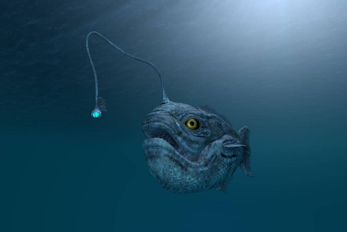 原创地球上唯一拥有不灭能力的琵琶鱼,死后也能完成交配,有多神奇?