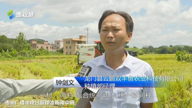 龙门县云鹏双丰鱼农业科技有限公司种植部经理 钟剑文:水库就配合我们