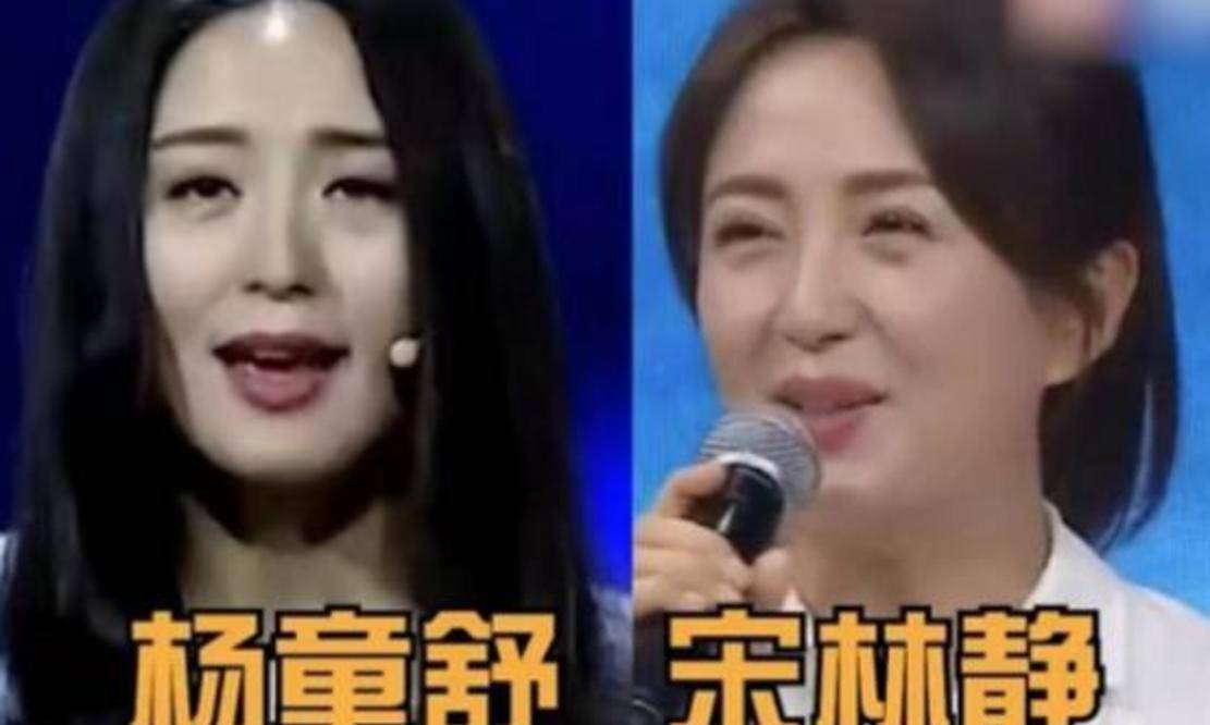 杨童舒是《至尊红颜》中徐莹莹,还是《以家人之名》中的陈婷.