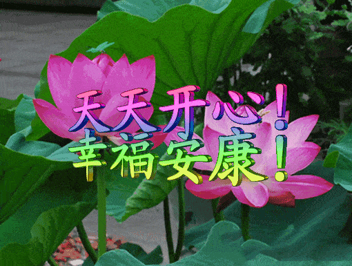 7月12日最漂亮早上好动态表情图片大全,早晨好动图美图大全