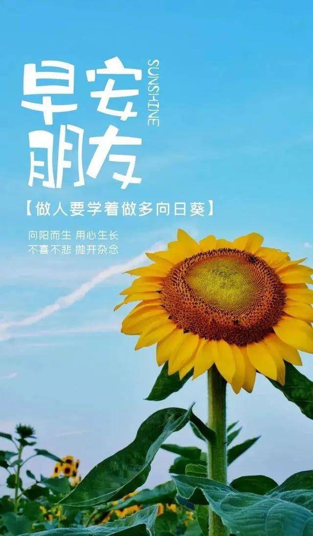 原创每天都是新的一天,加油