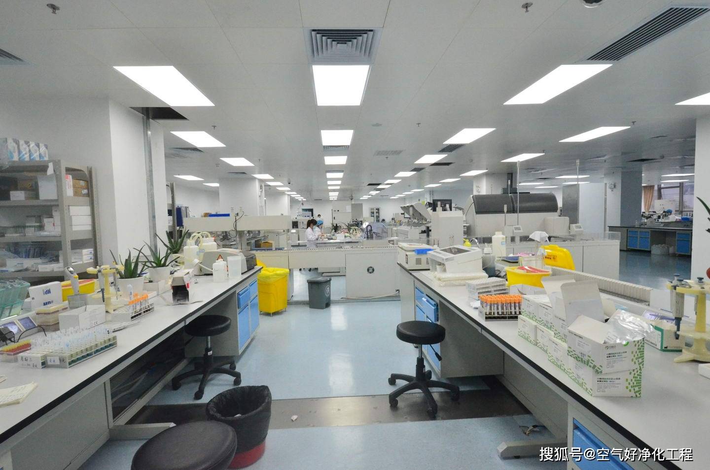 根据医疗机构的需求,检验科实验室包括临床化学,临床微生物学,临床