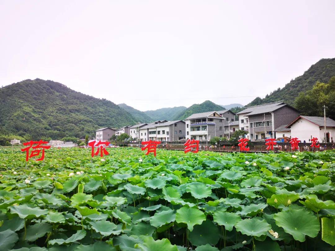 不负盛夏好时光 十堰这些网红景点你去过几个