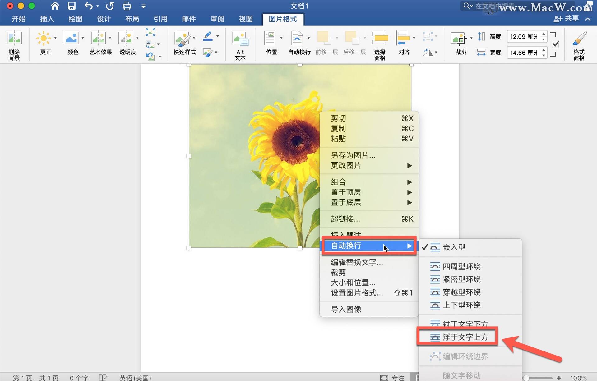 如何在microsoft word 中自由移动图片