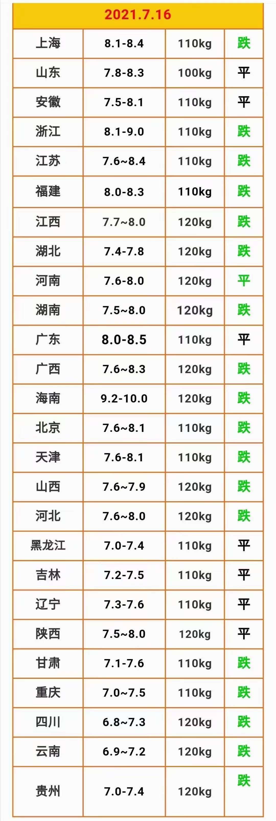 今日猪价涨跌