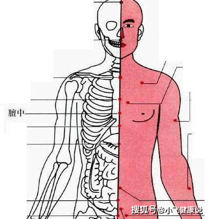 胸胁胀痛 来自搜狐网
