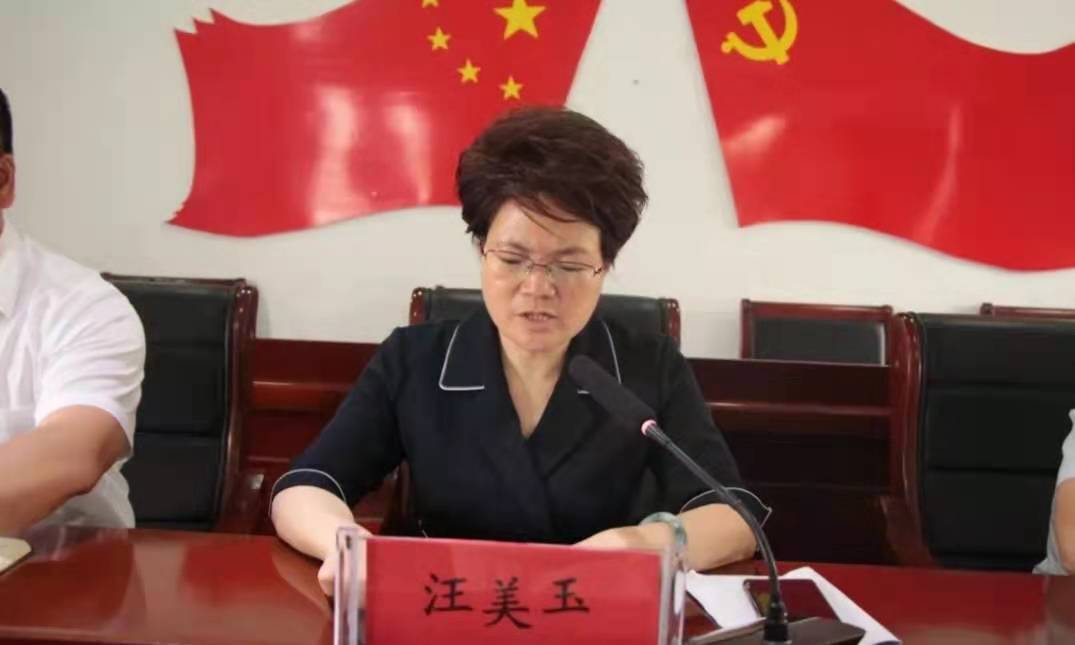 会上,玉山县委常委,宣传部部长汪美玉对近两年来临湖镇付出的努力以及